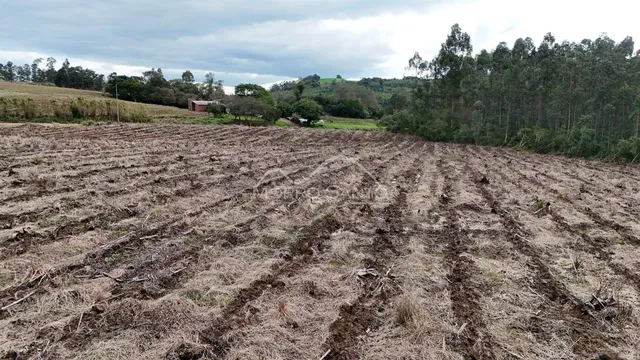 Campo aberto com vegetação seca em uma área rural.