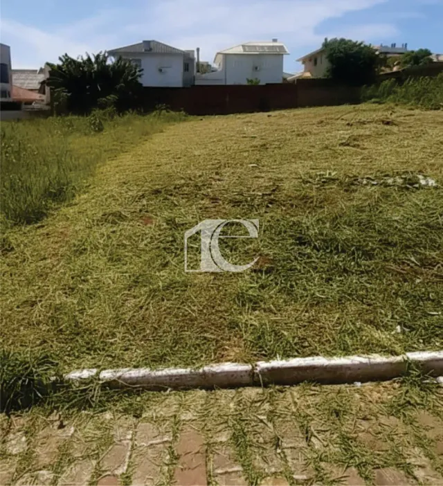 Terreno, foto 3