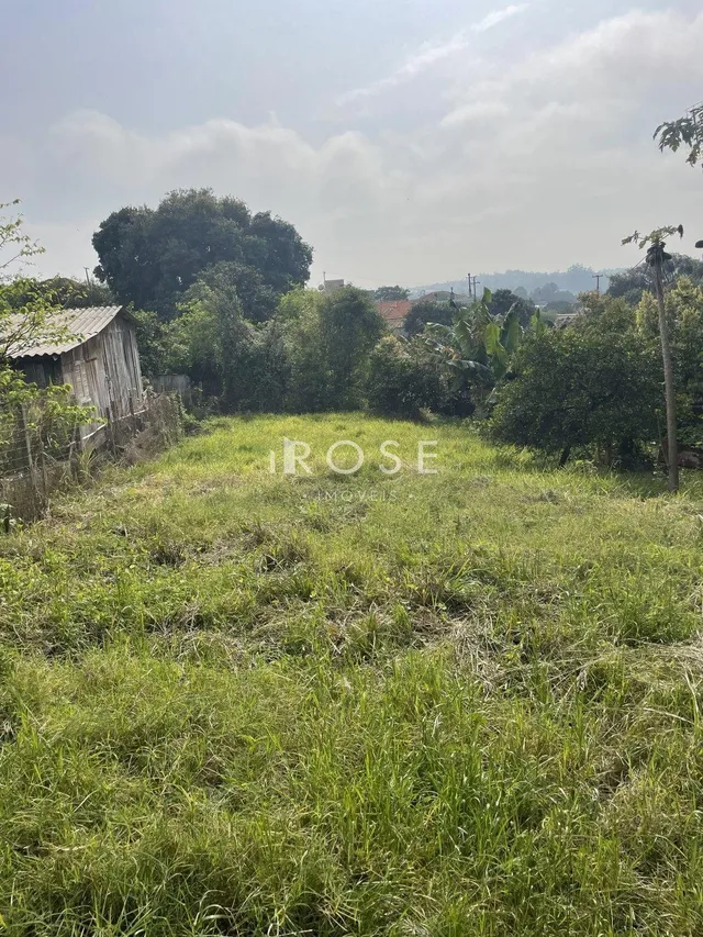 Terreno, foto 4