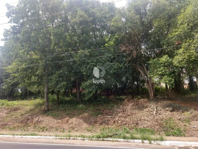 Terreno, foto 4