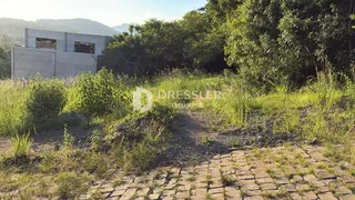 Terreno, foto 1