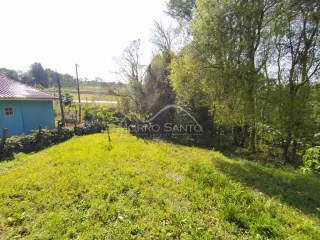 Paisagem externa mostrando grama e vegetação densa.