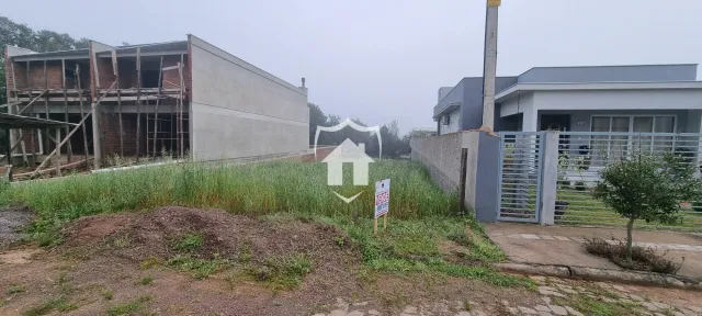 Terreno, foto 2
