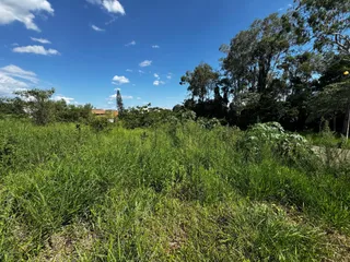 Terreno, foto 6