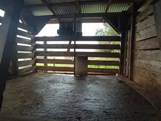Área rural com 3 dormitórios, foto 12