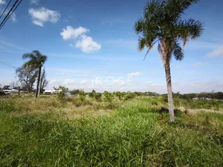 Terreno, foto 3