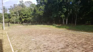 Vista de um campo aberto com vegetação densa ao fundo.