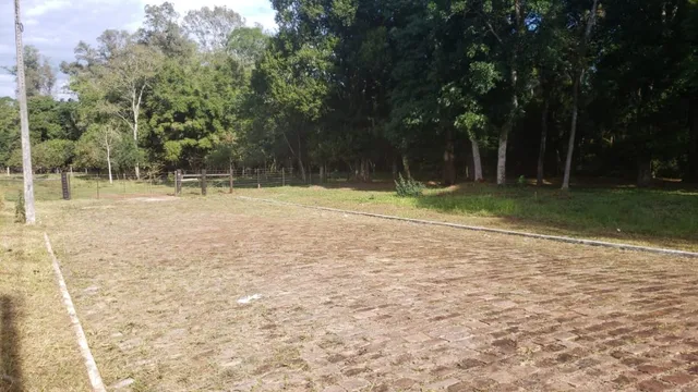 Vista de um campo aberto com vegetação densa ao fundo.