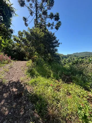 Área rural, foto 4
