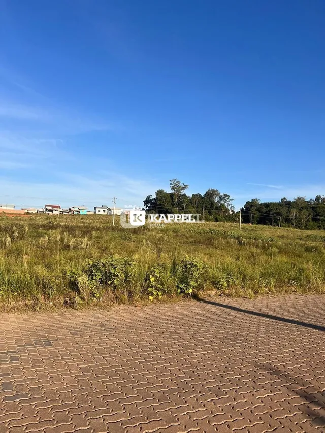 Paisagem de campo com grama alta sob um céu azul claro.