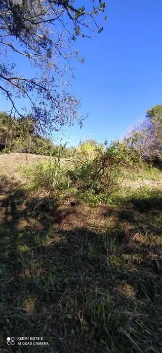 Terreno, foto 12