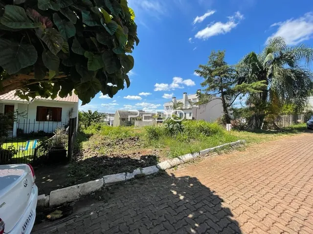 Terreno, foto 2
