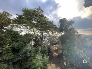 Vista aérea de uma área com vegetação densa.