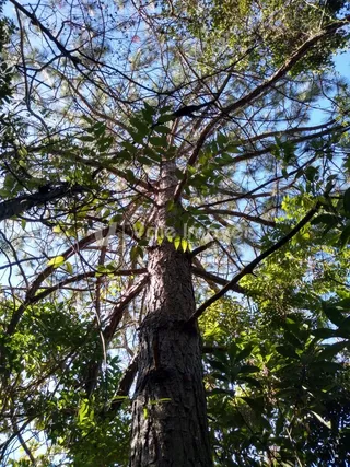 Área rural, foto 2