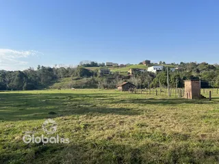 Campo gramado com vegetação ao fundo.