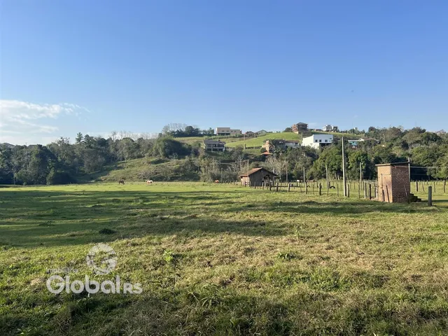 Campo gramado com vegetação ao fundo.