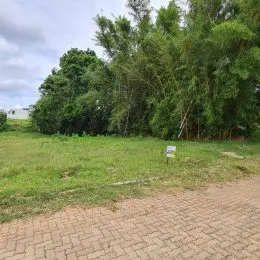 Paisagem externa com grama e vegetação densa ao fundo.