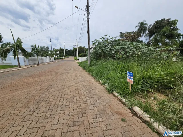 Terreno, foto 2