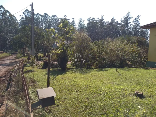 Área rural com 3 dormitórios, foto 4