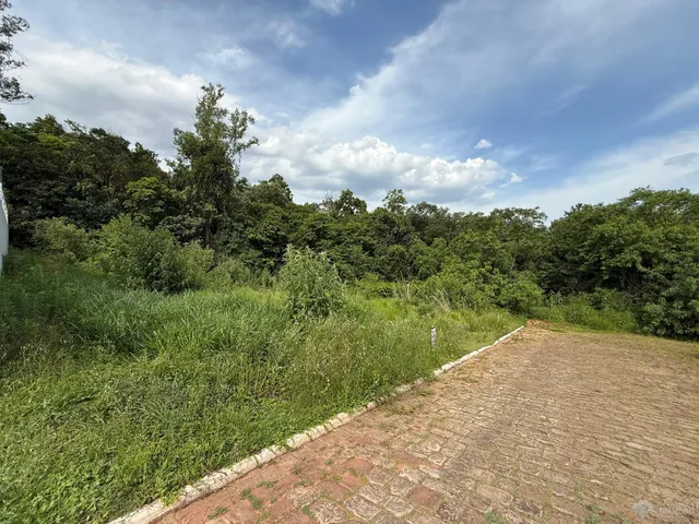Terreno, foto 3