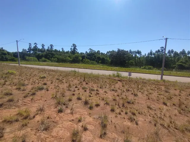 Terreno, foto 5
