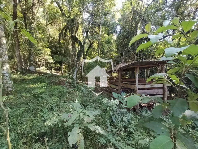Área rural com 6 dormitórios, foto 5