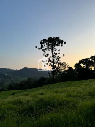 Área rural, foto 2