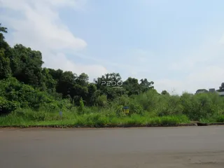 Paisagem exterior da propriedade em Lajeado, Brasil, mostrando vegetação densa ao longo da estrada.