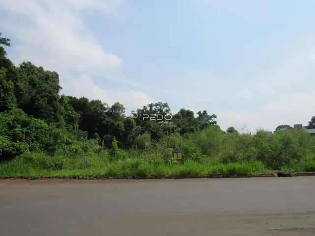 Paisagem exterior da propriedade em Lajeado, Brasil, mostrando vegetação densa ao longo da estrada.