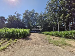 Área rural, foto 3