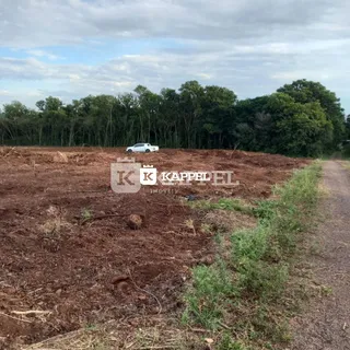 Foto de um terreno aberto com terra vermelha e vegetação rasteira.