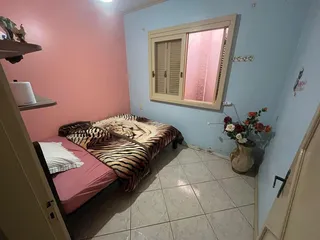 Casa com 3 dormitórios, foto 10