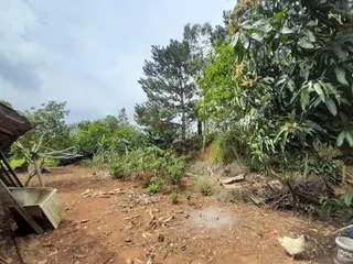 Área rural com 4 dormitórios, foto 10
