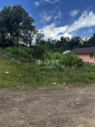 Terreno, foto 1