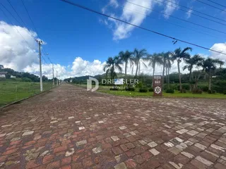 Vista de uma rua pavimentada com vegetação e palmeiras.