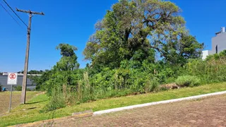 Terreno, foto 1