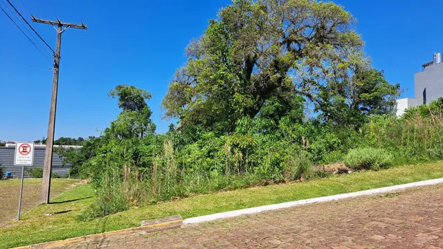 Terreno