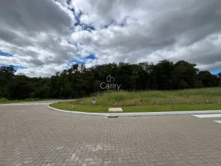 Terreno, foto 7