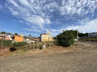 Terreno, foto 4