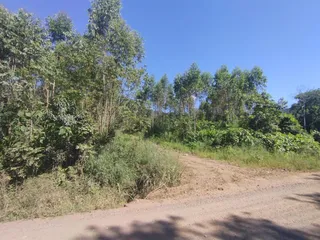 Área rural, foto 1