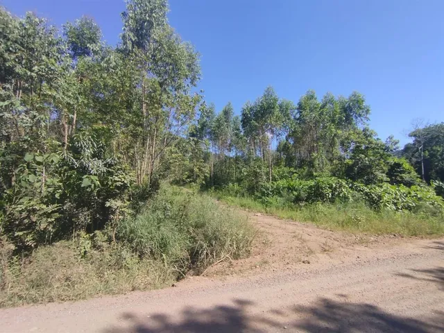 Área rural
