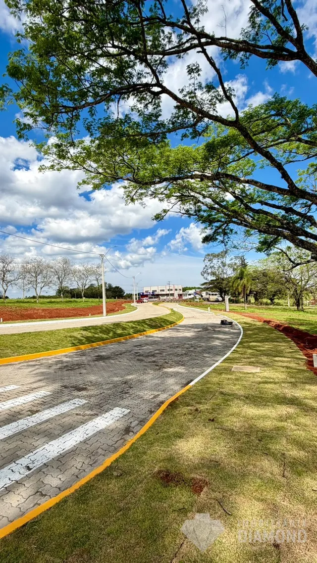 Terreno, foto 2