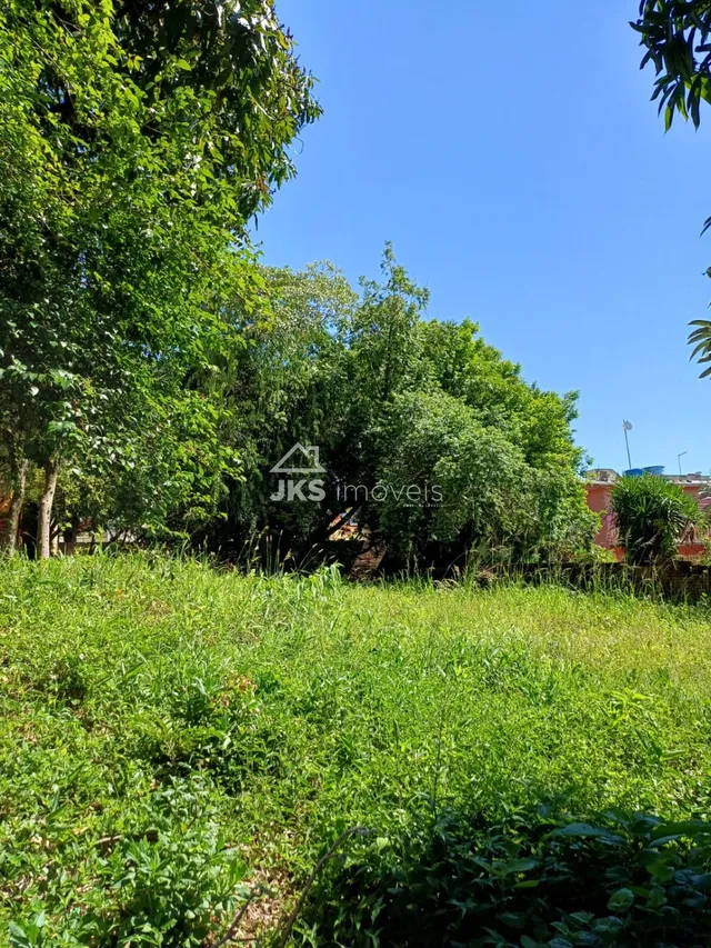 Terreno, foto 2