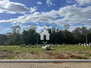 Terreno, foto 1