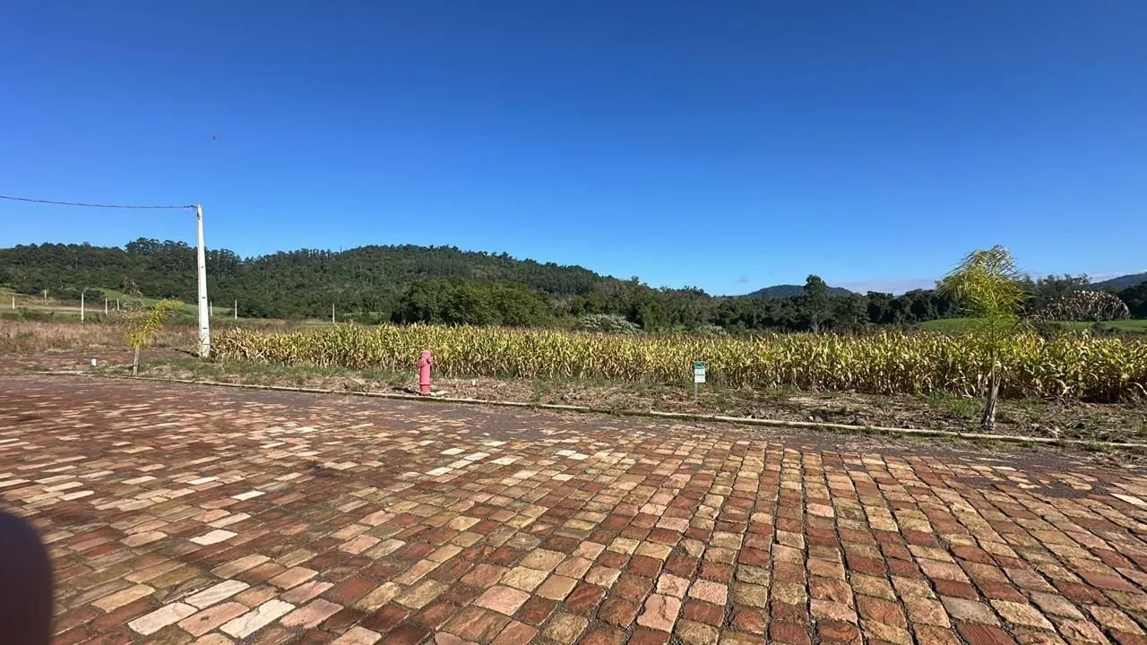 Terreno, foto 1