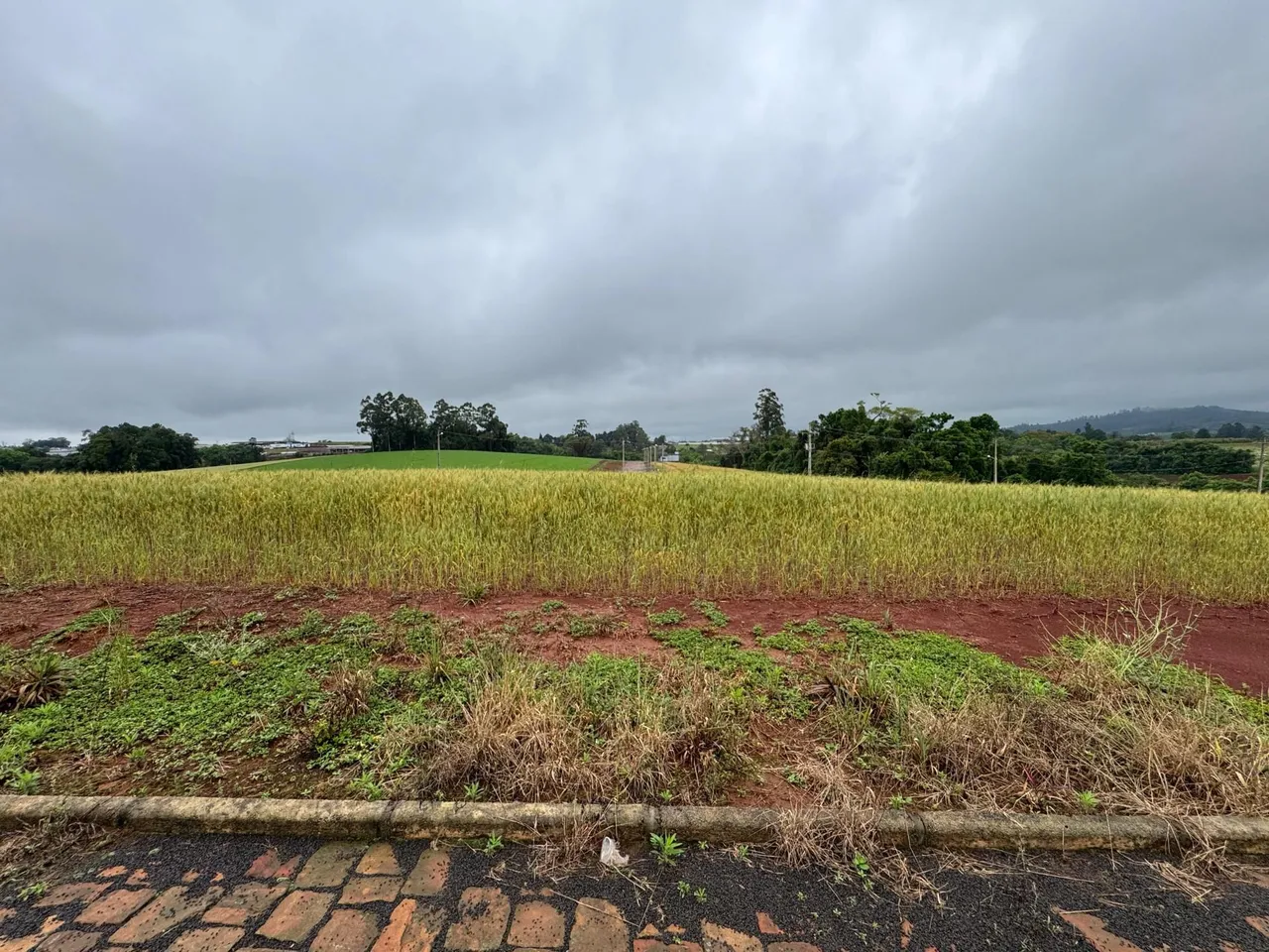Terreno, foto 1