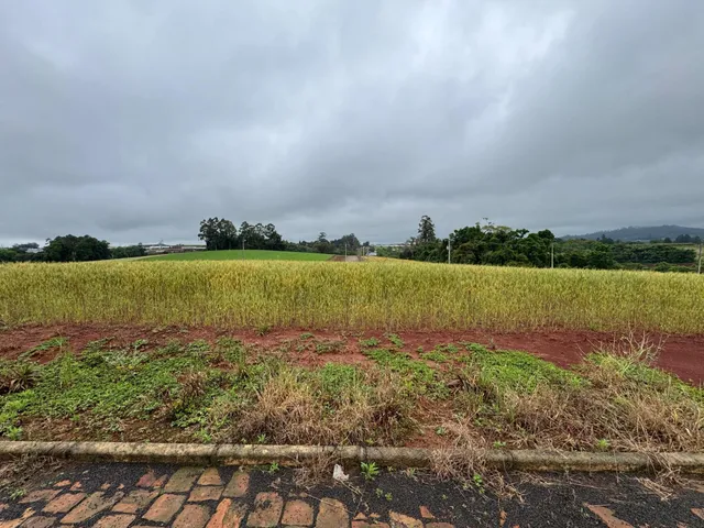 Terreno