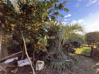 Área rural com 3 dormitórios, foto 10