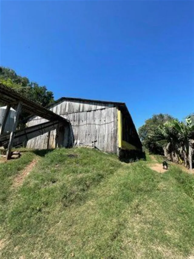 Área rural, foto 5