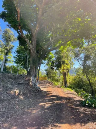 Área rural com 3 dormitórios, foto 7